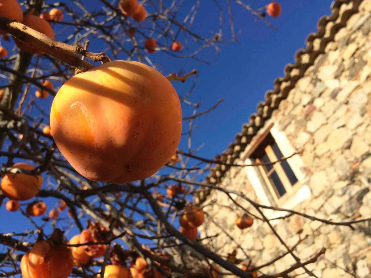 Masia de Vallforners Tagamanent Exterior foto